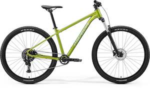Hardtail: BIG NINE 20 - FALL GREEN(SILVERGREEN)