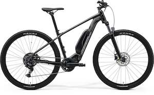 E Bikes: EBIG NINE 300 SE - METALLIC BLACK(GUNMETAL GREY)