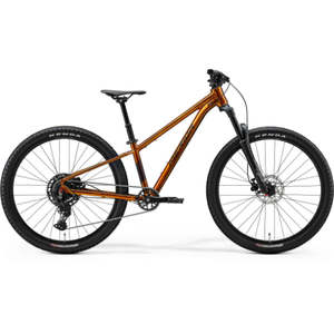 Hardtail: MATTS J CHAMPION - WILD HONEY(BLACK)