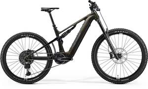 E Bikes: EONE SIXTY 875 - GUARDED GOLD(GREY)