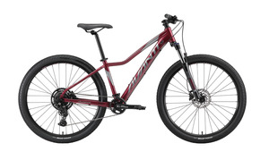 Hardtail: AVANTI Bike Montari 2W Plum & Silver