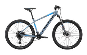 Hardtail: AVANTI Bike Montari 2 Silver & Blue