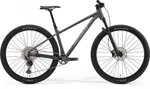 BIG NINE TR 700 - SILK DARK GREY(RAINBOW PRPL)