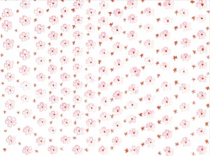 Products: Desert Rose