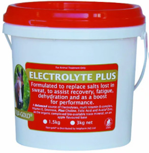 Equigold Electrolyte Plus