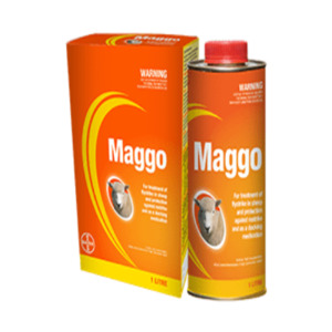 Treatments: Maggo
