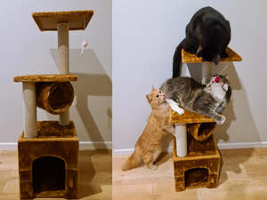 Cat Tree House: Cat Tree House Post Condo 94cm High