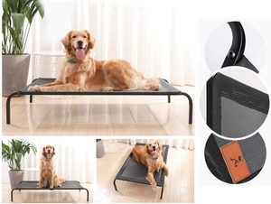 Pet Bed 1: Pet Bed Dog Cat Bed Mesh Elevated Raised Indoor Sleeping Cot