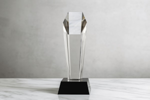 Trophy Awards Plaque 3195-3