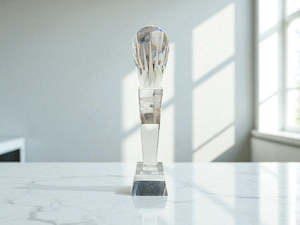 Trophy Awards Plaque 3195-6