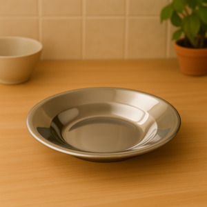 Stainless Steel Plate 22cm