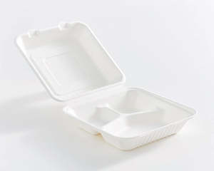 Party Items: 9" x 9" Container Box 50pc B037N/3CN