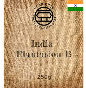 Single Origin: (ONLINE ONLY) India Plantation B Washed