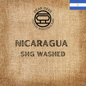 Nicaragua Jinotea SHG Washed