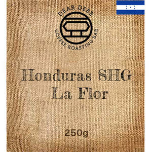 Single Origin: (BEANS OF THE MONTH) Honduras SHG La Flor Washed