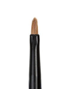 Products: Eyeliner Brush 151