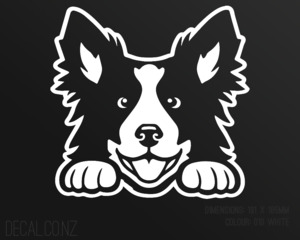 Products: Happy Border Collie Dog - Decal.co.nz