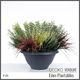 Plantable Artificial Plants - VERBENA Collection (8 different plants), DECKO Ver&hellip;