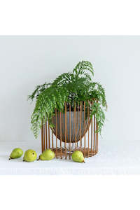 Home Decor: Fruit Bowl