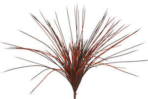 Artificial Grasses: Grass - Lemongrass - Flame Burgundy - Box Lot Deal (6)