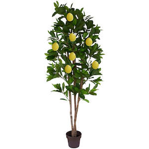 Tree - Lemon tree