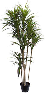 Dracaena Tree - Artificial - Green Red 150cm