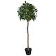 Bay Leaf Topiary - Artificial - 130cm ✰✰✰ SPECIAL ✰✰✰
