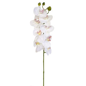 View 2: Orchid stem - White - 60cm ✰✰✰ HALF PRICE SPECIAL ✰✰✰