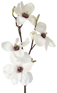 Flowers: Magnolia - Traditional Southern White