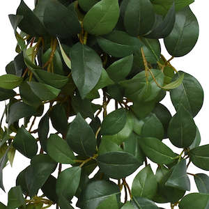 View 3: Honey Suckle Bush