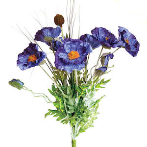 Flower Colour Blue Purple: Poppy Bush with Grass - Blue - Box Lot Deal (4)