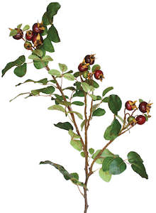 Rosehip Spray - Natural Ripened 90cm