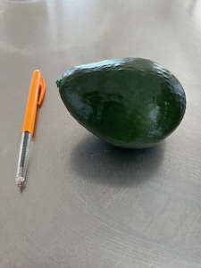 Avocado - Artificial