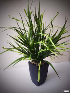 Artificial Grasses: Grass - Artificial Wild Koru Bush - Large