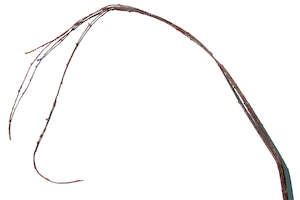 Tortured Willow 125cm - Box Lot Deal (4)