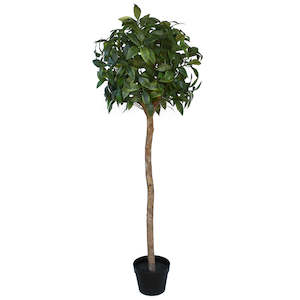 Bay Leaf Topiary - Artificial - 130cm ✰✰✰ SHOWROOM SPECIAL ✰✰✰