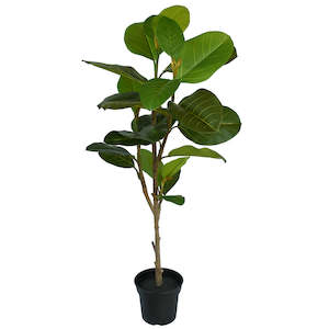 Trees And Topiaries: Fig Tree - Artificial - 95cm ✰✰✰ CLEARANCE SPECIAL ✰✰✰