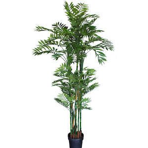 Trees And Topiaries: Tree - Phoenix Palm 135cm ✰✰✰ SHOWROOM SPECIAL ✰✰✰
