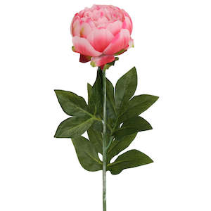 Peony Rose Petticoat - Pink