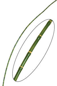 Bamboo Stem - Artificial - 120cm ✰✰✰ SPECIAL - 60% OFF ✰✰✰
