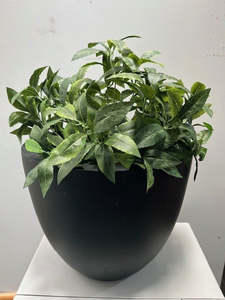 Topiary Ball - 35cm ✰✰✰ SPECIAL ✰✰✰