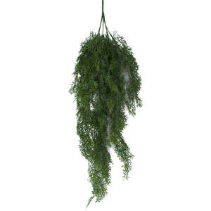 View 3: Asparagus Fern - 88cm Bush