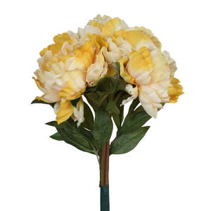 Peony Bouquet - Burnt Cream colour ✰✰✰ SPECIAL ✰✰✰