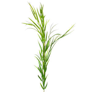 Artificial Grasses: Bamboo Grass - Extra Tall
