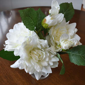 Flowers: Dahlia Flower Bouquet - White