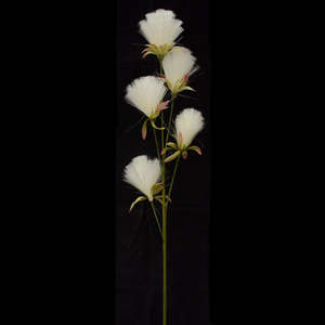 Bottle Brush Dandelions - Cream White - Box Lot Deal (6)