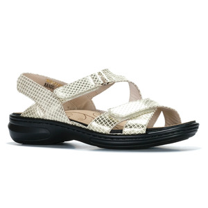 Sandals: Cassini Mando - Gold Squares