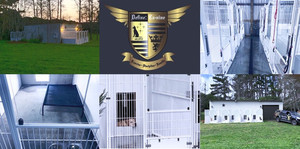 Products: Daycare 1 day definecanine