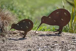 Birds: Kiwi