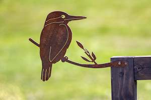 Birds: The Kingfisher